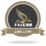 سيرفر فالكون برو لمدة 12 شهر