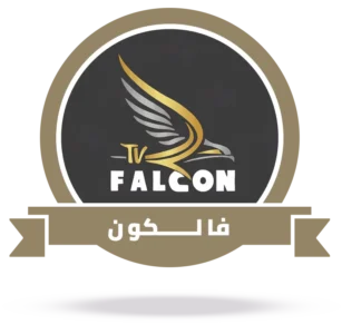 Server فالكون برو for months